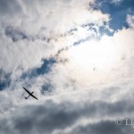 DSC03774