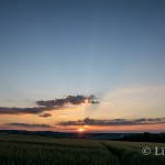 DSC06277