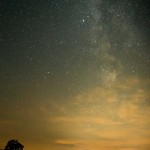DSC09126