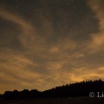 DSC09176